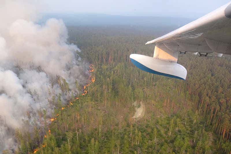 Image result for Siberian wildfire