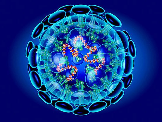 How worried should NZ be about the new coronavirus?