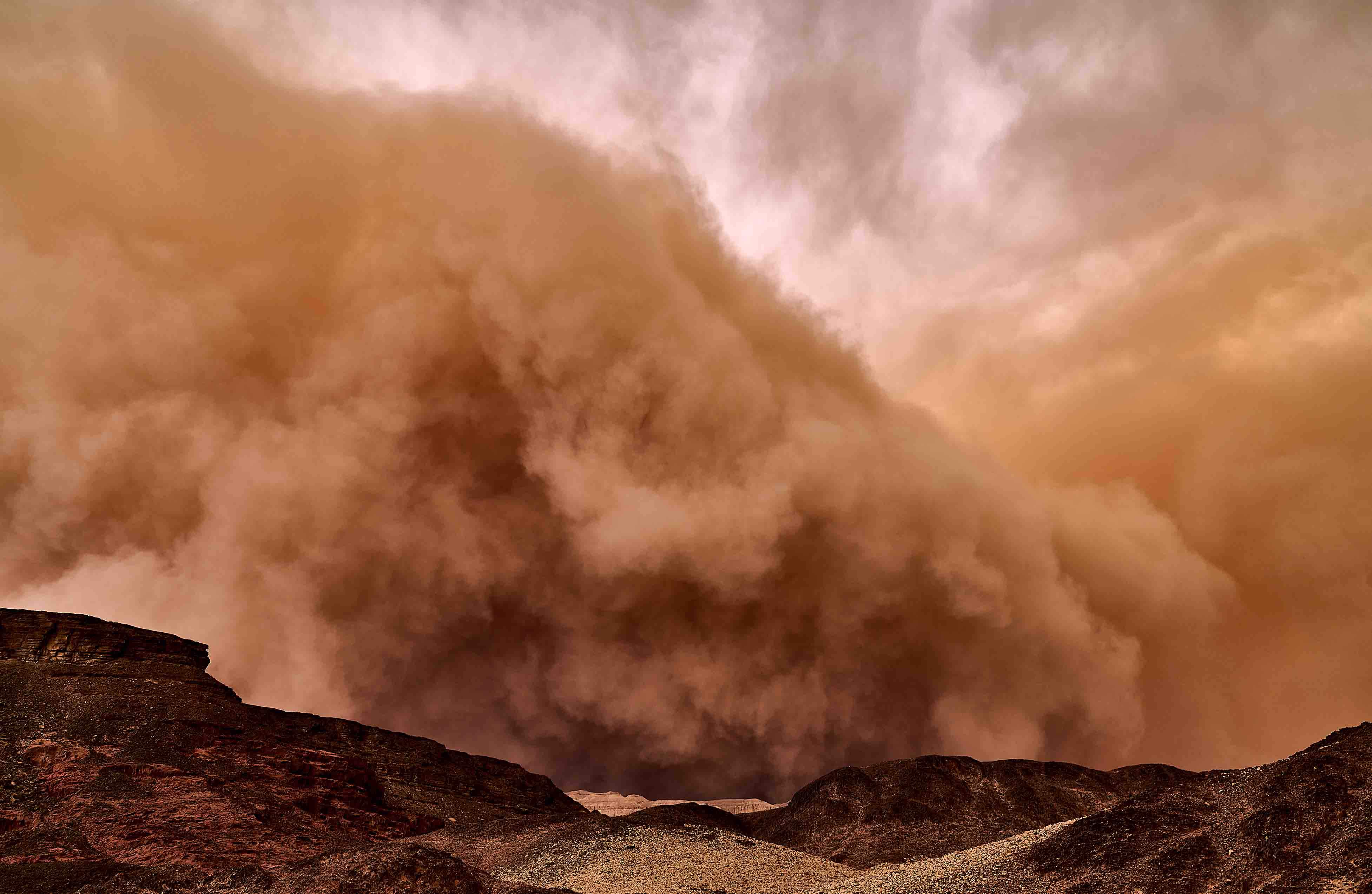 The Dust Storm Microbiome