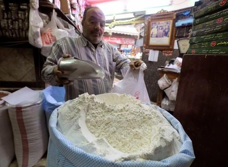 Egypt to halt flour subsidy and cut wheat imports by up to 10 pct