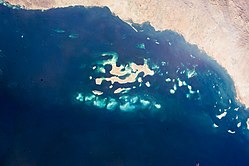 جزر فرسان - ويكيبيديا