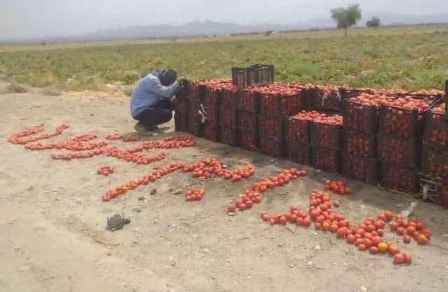 Iran-Farmers-Throw-Tomatos-1