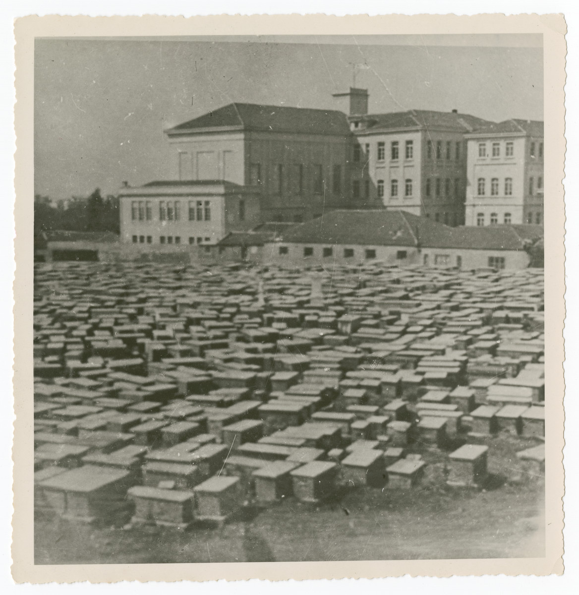 View of the Jewish cemetery in Salonika.

The original caption reads "Cemetery prewar.  500,000 graves in past 500 years."
