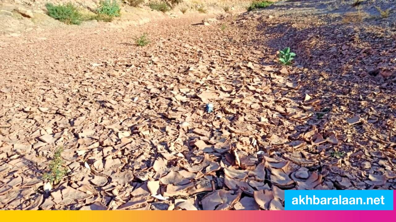 الجفاف يقضي على التنوع الفلاحي والبيولوجي بنواصر المغربية ويدفع سكانها  للهجرة قسرًا