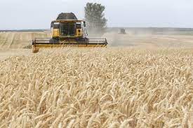 UNIAN: Ukrainian farmers thresh almost 38.7 mln tonnes of grain as of Aug. 19 - KyivPost - Ukraine's Global Voice