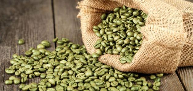 קפה ירוק.. יתרונות בריאותיים ושימושים רפואיים עבורו