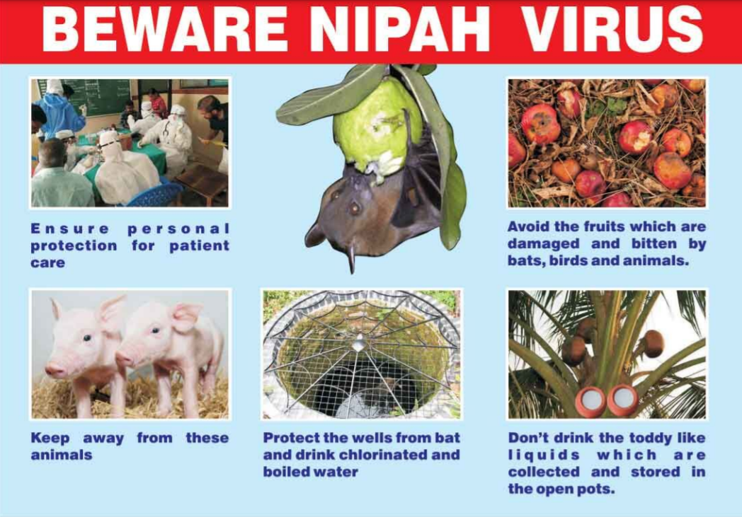 Nipah virus in Kerala, India: WHO details - Outbreak News Today