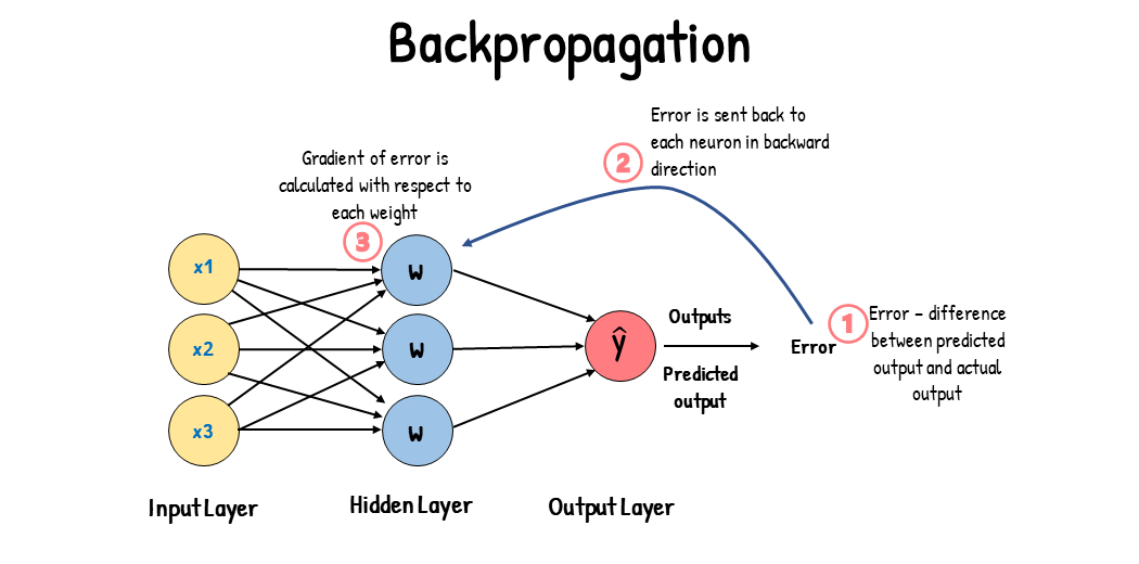 Gradient Descent vs. Backpropagation: What's the Difference?