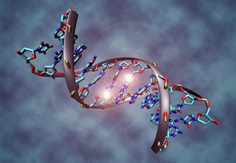 مادة كيميائية شائعة الاستخدام تدمر الحمض النووي للإنسان | الكونسلتو