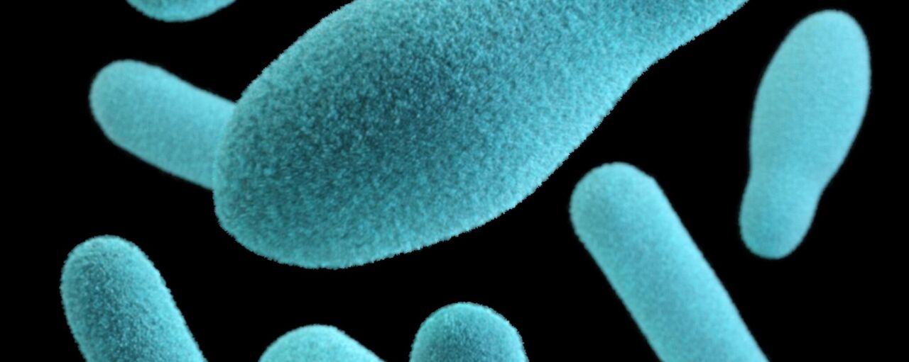 دراسة: جزء حيوي من جسمك يستمر في العيش لسنوات بعد وفاتك - 02.10.2023, سبوتنيك عربي